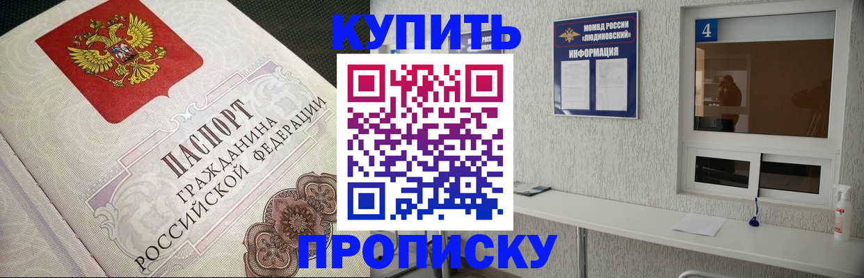 найти адрес прописки в Купино